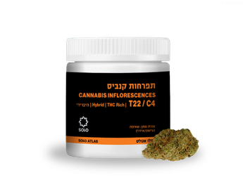 תפרחת סולו אטלס - T22/C4 - SOLO Atlas