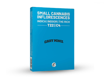 תפרחת גארי מיניז - T22/C4 - Gary Miniz