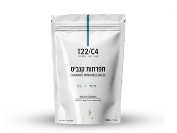 תפרחת פי.אל - T22/C4 - P.L