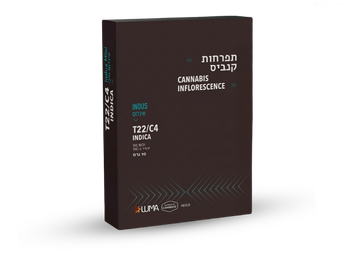 תפרחת אינדוס מיני - T22/C4 - Indus Mini
