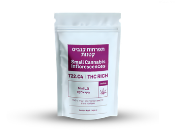 תפרחת אל קיו מיני - T22/C4 - LQ Mini