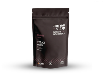 תפרחת קולורדו - T22/C4 - Colorado