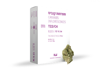 תפרחת אר.זד 13 - T22/C4 - R.Z 13