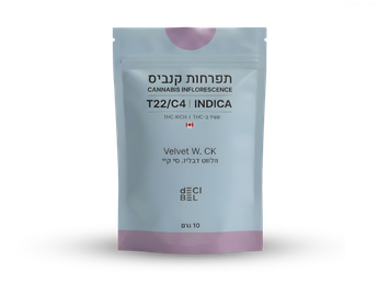 תפרחת ולווט דבליו סי.קיי - T22/C4 - Velvet W.CK