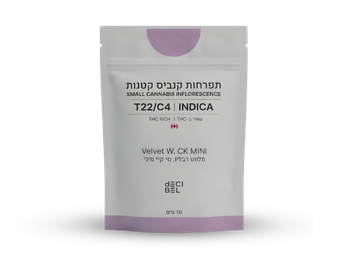 תפרחת ולווט דבליו סי.קיי מיני - T22/C4 - Velvet W.CK Mini