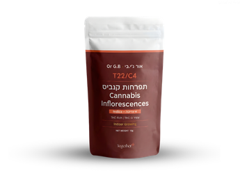 תפרחת אור ג'י.בי - T22/C4 - Or G.B