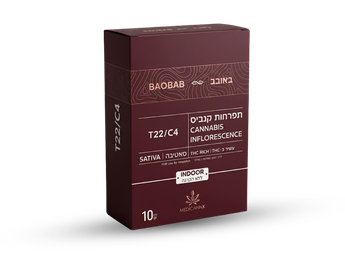 תפרחת באובב - T22/C4 - Baobab