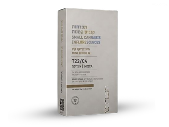 תפרחת קיו צ'יקו מיני - T22/C4 - Q Chico Mini