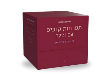 תפרחת כריס אם - T22/C4 - Cris M