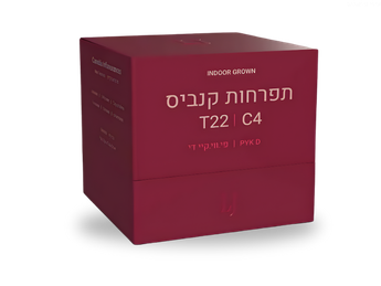 תפרחת פי.ווי.קי די - T22/C4 - PYK D