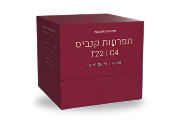 תפרחת ג'י אס פי.ג'י - T22/C4 - GSP.G