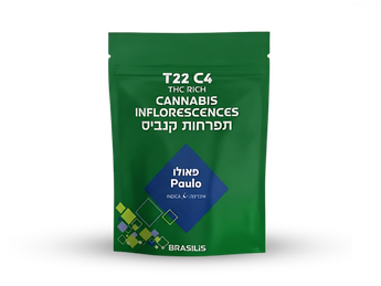תפרחת פאולו - T22/C4 - Paulo