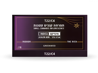 תפרחת אבלון מיני - T22/C4 - Avalon Mini
