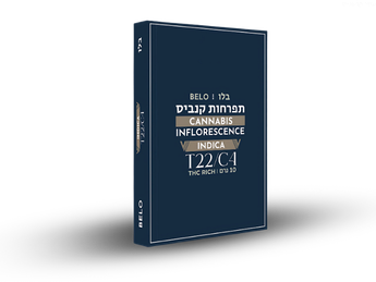 תפרחת בלו - T22/C4 - Belo