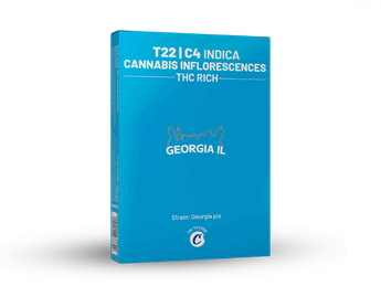 תפרחת ג'ורג'יה איי אל  - T22/C4 - Georgia IL