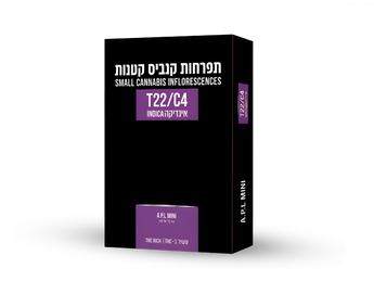 תפרחת איי.פי.אל מיני - T22/C4 - A.P.L Mini
