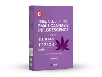 תפרחת בי אל בי מיני - T22/C4 - B.L.B Mini