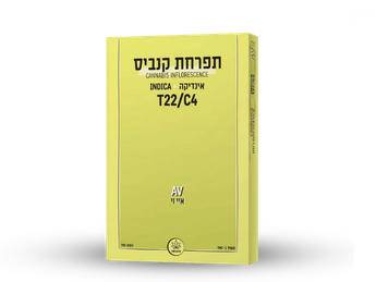 תפרחת איי.וי - T22/C4 - AV