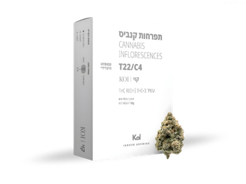 תפרחת קוי - T22/C4 - Koi