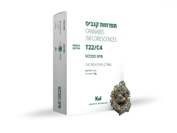 תפרחת מיזו - T22/C4 - Mizo